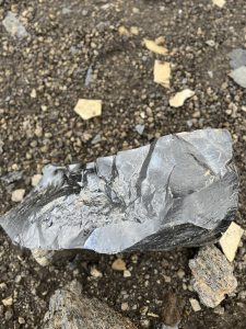 33A1DCDB-2F80-4F49-8F71-E10012550148