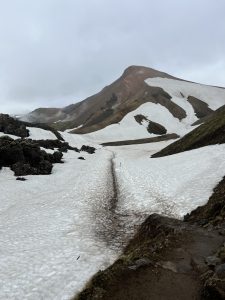 9BB1F63F-654C-4A14-9263-F5F0F497D6F9