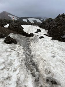 DAF43F33-CEEE-4D1E-A0AB-44A0551098F3