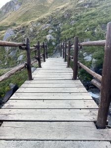 137ECBDD-F65D-45B8-B53A-24F759ED577D