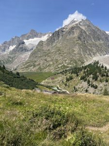 2F65F6E0-A0B8-443A-8B8D-A6FFD23D034E