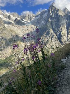 33AE45D3-CA5F-483F-AABB-75F02FD4545A