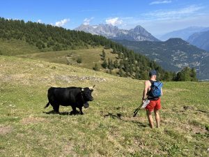 59A7A806-70FA-4B36-935B-2F8BA22037E6