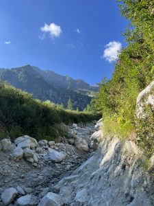 BFF08A2F-753F-4D13-85B6-82FB404BF5B1