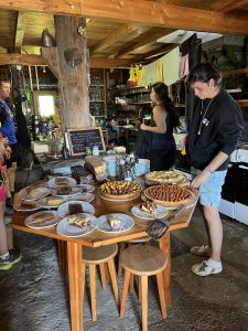 C62BCF53-38AD-4DD7-9DDF-752D2FF69D24