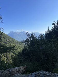 D4492127-6E28-4606-9C93-2957008C66BF