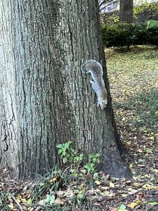 047ECFFA-281F-46EE-88A8-465D5C793463