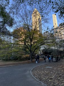 0655E9D9-DE06-45CD-86CD-06D10D60C071