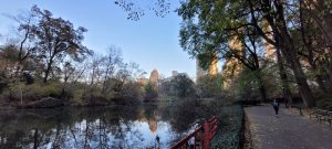 55DE4D4E-408E-4473-8DC6-AB2044B5AFBB