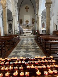 IMG_8544
