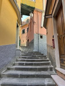 IMG_8548