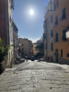 IMG_8560