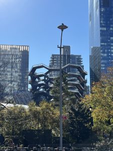 IMG_0527