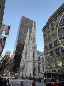 IMG_0556