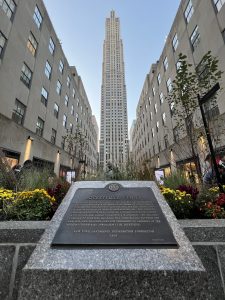 IMG_0559