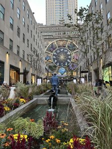 IMG_0567