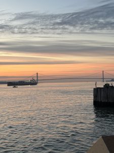 IMG_0697