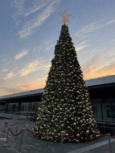 IMG_0703