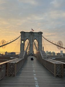IMG_0842