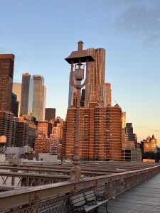 IMG_0843