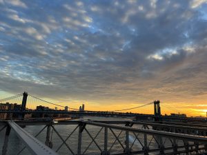 IMG_0865