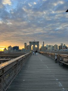 IMG_0867