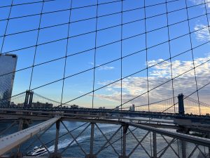IMG_0897